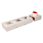 Calage carton pour verrine et mignardise