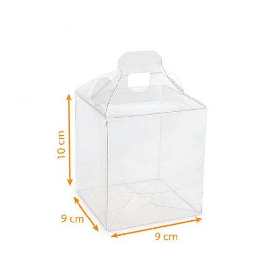 Valisette transparente en PVC