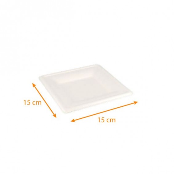 Assiette en fibre végétale