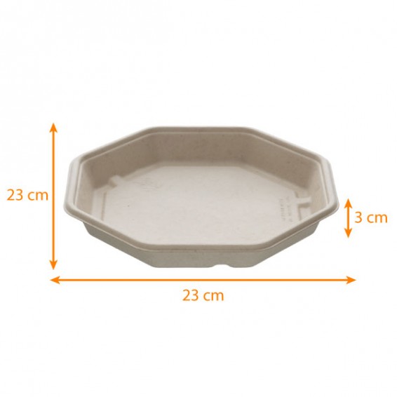 Assiette en Pulpe