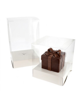 Boite Clip en PVC Transparent