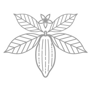 Vague cacao